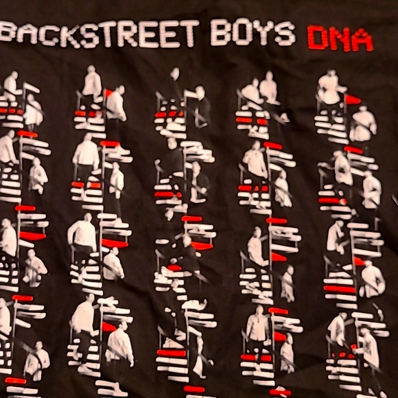 Backstreet boys tote - Picture 1 of 2